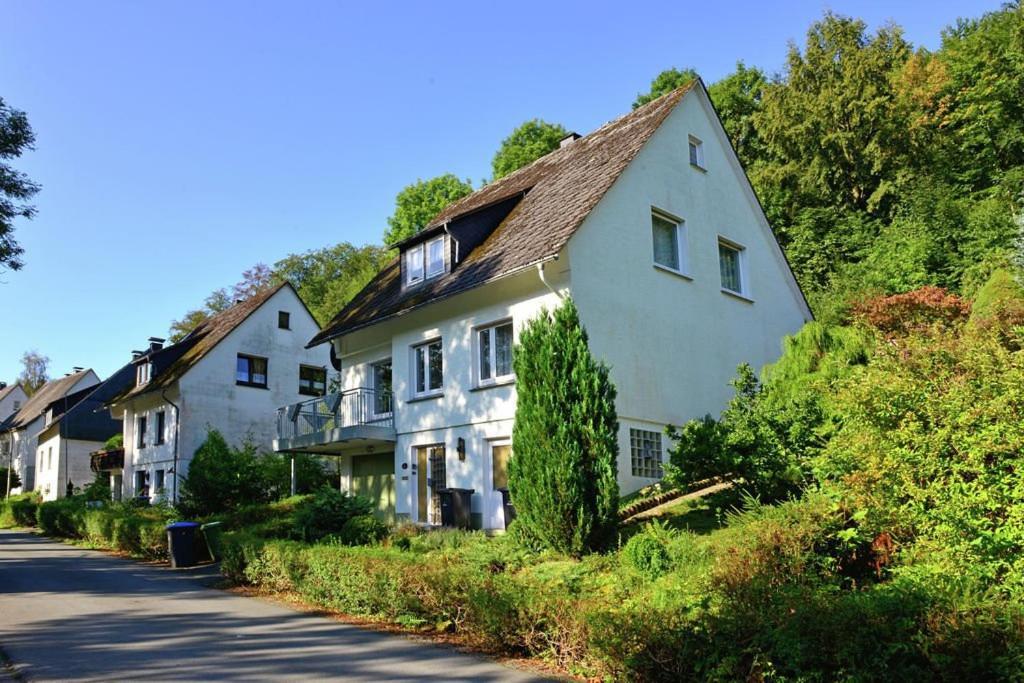 Die Hammerhuette Willingen  Eksteriør billede